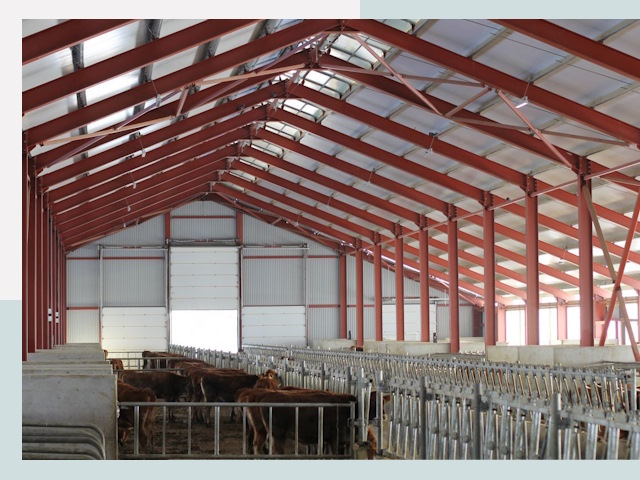 Строительство коровников в Новотроицке