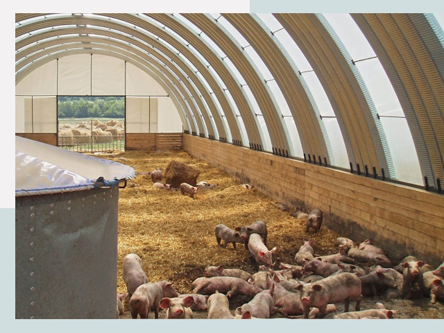 Строительство свинарников в Новотроицке