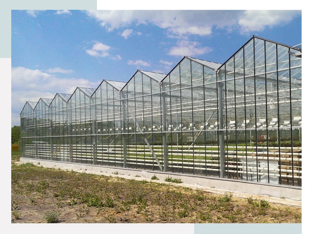 Строительство теплиц в Новотроицк от 628 руб. за м²